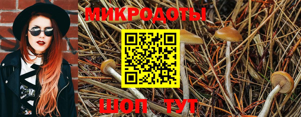 Галлюциногенные грибы мухоморы Елизово
